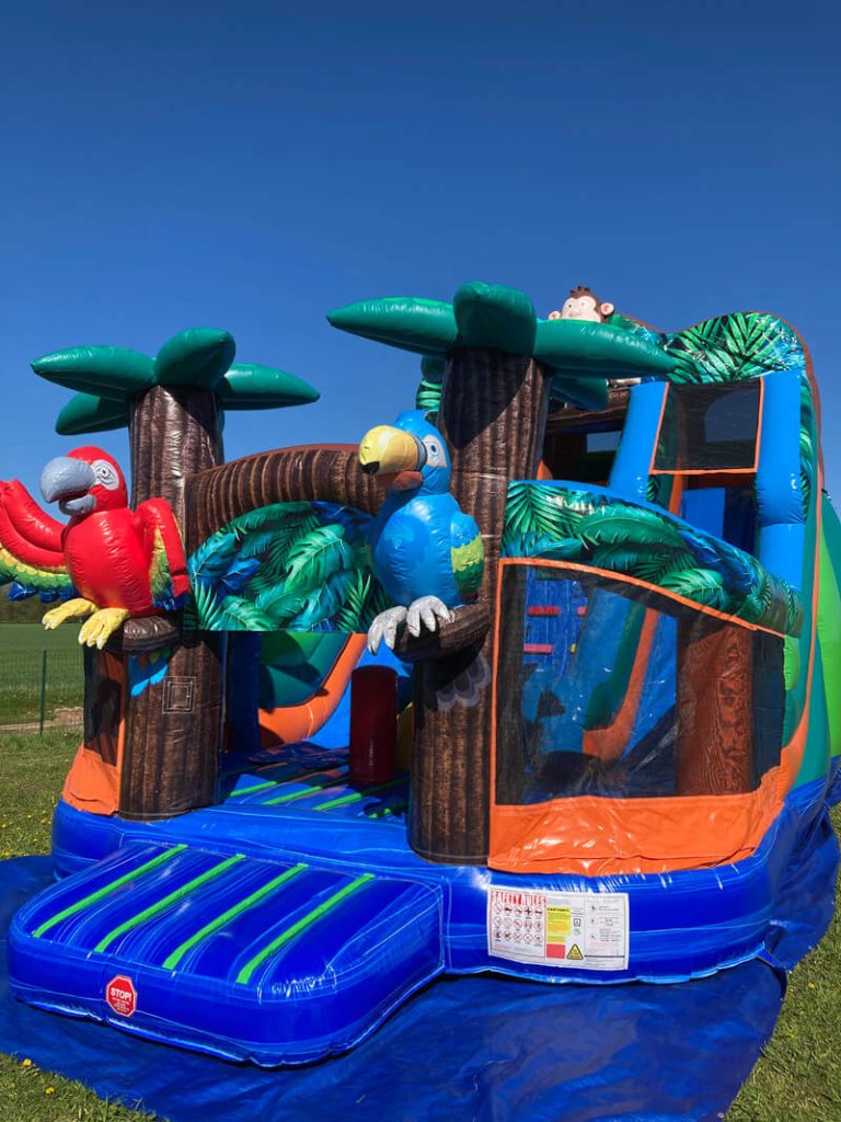 PROFESIONĀLĀ PIEPŪŠAMĀ ATRAKCIJA „MADAGASKARA”