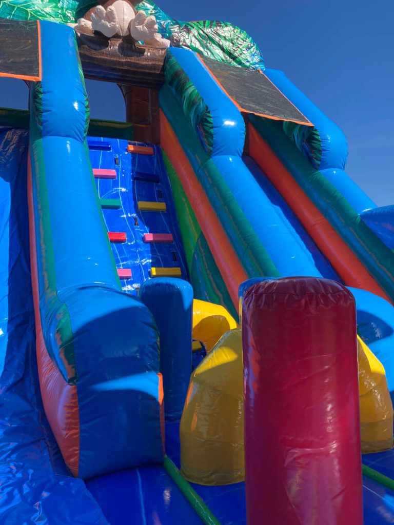 PROFESIONĀLĀ PIEPŪŠAMĀ ATRAKCIJA „MADAGASKARA”