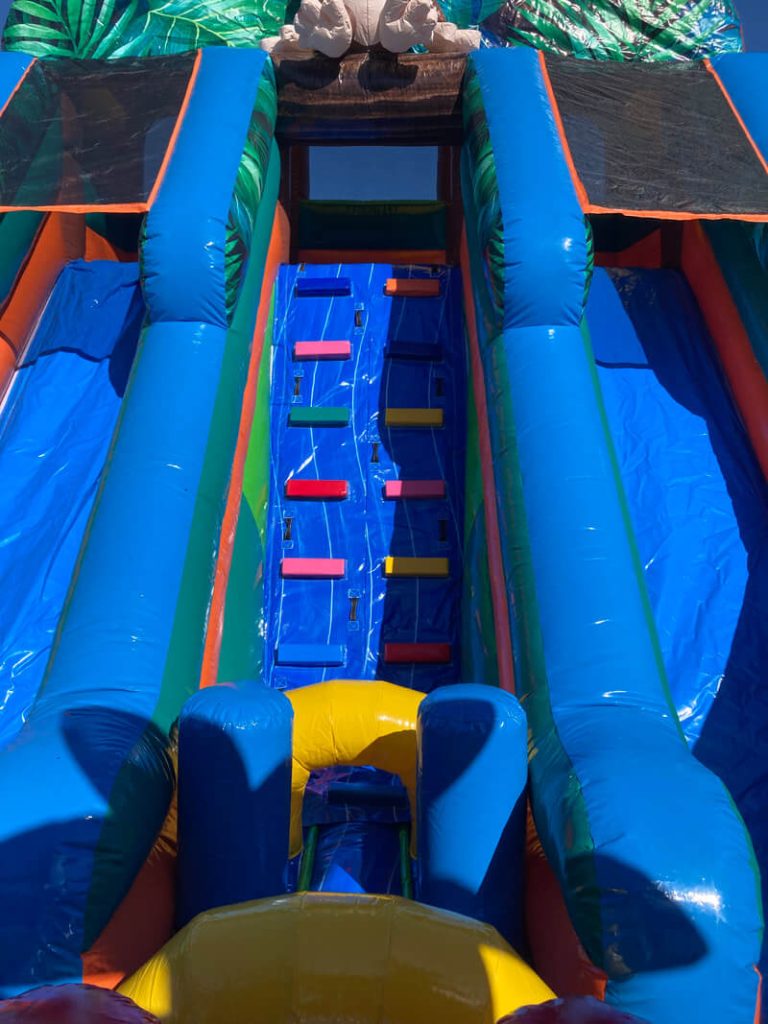 PROFESIONĀLĀ PIEPŪŠAMĀ ATRAKCIJA „MADAGASKARA”