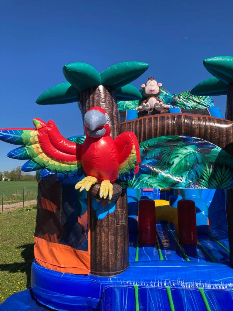 PROFESIONĀLĀ PIEPŪŠAMĀ ATRAKCIJA „MADAGASKARA”