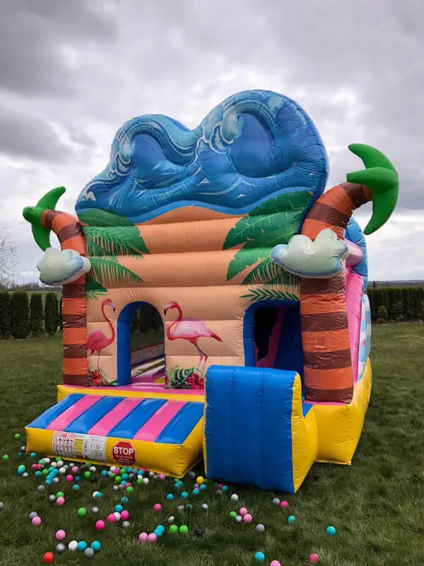 PROFESIONĀLĀ PIEPŪŠAMĀ ATRAKCIJA „FLAMINGO”